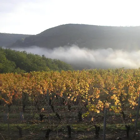 Grange Renovee En Pleine Nature Feriehus