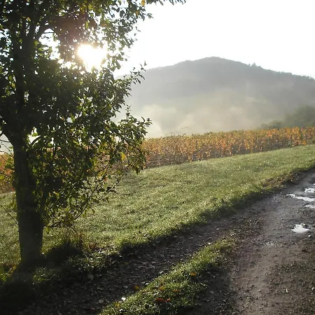 Tatil Evi Grange Renovee En Pleine Nature Valady