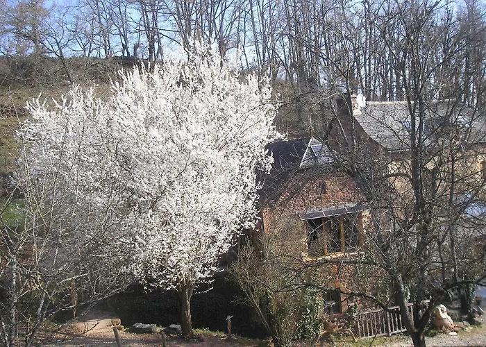 Grange Renovee En Pleine Nature * Valady