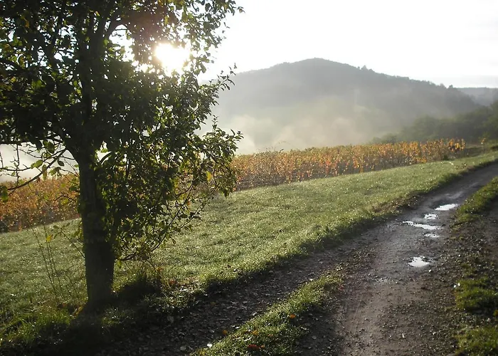 Casa de Férias Grange Renovee En Pleine Nature Valady